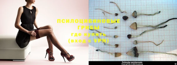 MESCALINE Алагир